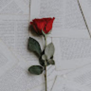 Meet your Posher, Lia